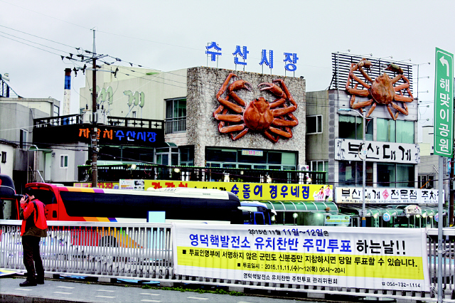 8일 오후 경북 영덕군 강구항으로 들어가는 강구교와 강구대교에 원자력발전소 유치와 이에 대한 주민투표에 찬성하거나 반대하는 펼침막이 붙어 있다. 사진 김일우 기자