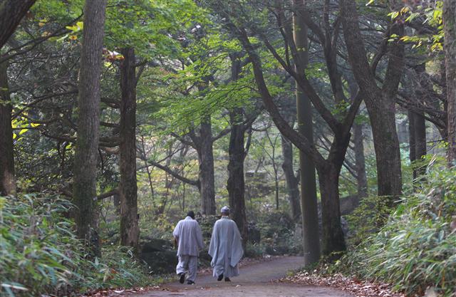 백양사 뒤의 암자인 운문암으로 오르는 길의 계곡엔 낙엽이 쌓여 있다. 지선 스님은 30년간 서옹 큰스님을 모시는 홍복을 누렸고, 이 계곡길을 함께 오르내리며 많은 이야기를 나누었다고 한다.