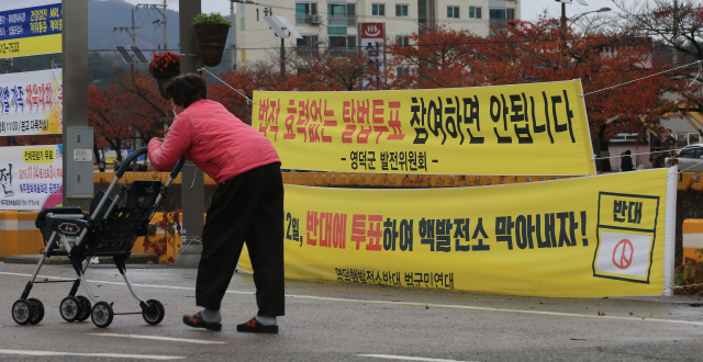 영덕 핵발전소 유치 찬반 주민투표가 이어진 12일 오전 경북 영덕읍 거리에 원전 유치 찬반을 주장하는 펼침막이 나란히 걸려 있다. 영덕/김태형 기자 xogud555@hani.co.kr