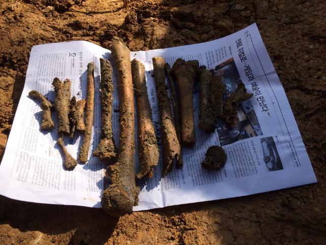 학살 장소로 추정되는 폐광 입구에서 발굴된 어른 크기의 정강이뼈를 비롯한 여러 구의 유해들. 사진 오승훈 기자