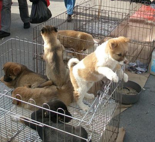 사진 연합뉴스