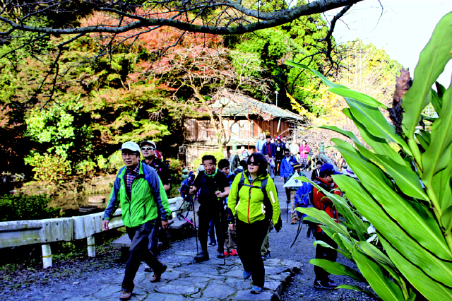 사진 김일우 기자