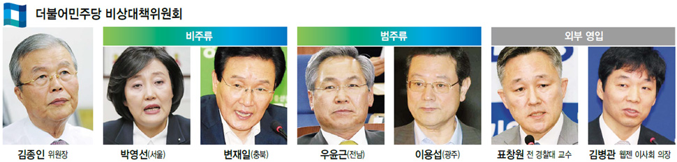 더불어민주당 비상대책위원회