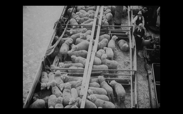 일제 기록영화 <북선의 양을 말하다>(1934).  　한국영상자료원 제공
