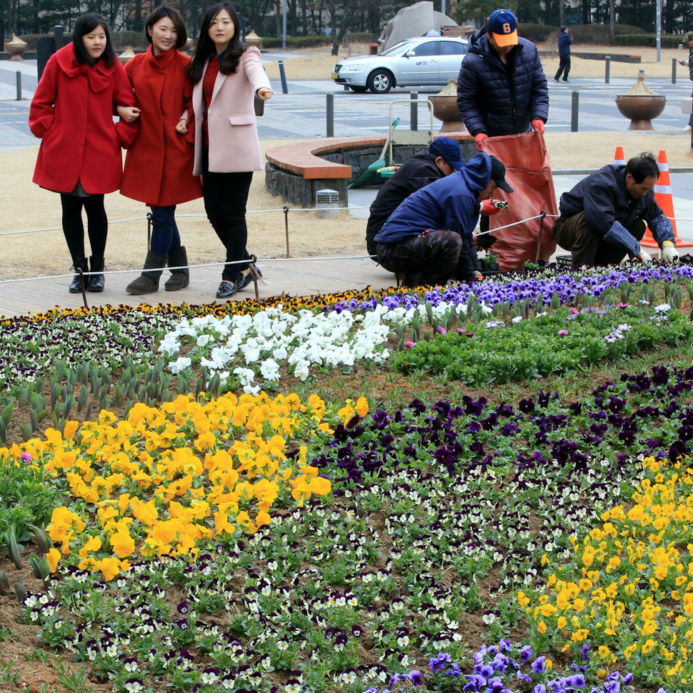 3일 오전 서울 성동구 왕십리역 광장 화단에서 구청 관계자들이 팬지, 비올라, 수선화 등 5종 2만 본의 봄꽃을 심고 있다. 김태형 기자 xogud555@hani.co.kr