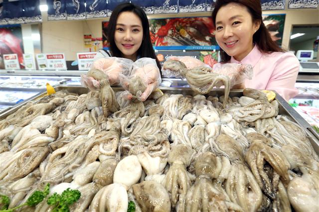9일 오전 서울 중구 롯데마트 서울역점에서 모델들이 봄 대표 제철 수산물인 주꾸미를 선보이고 있다. 롯데마트는 10일부터 일주일간 국산 생물 주꾸미를 100ｇ당 3480원에 판다. 연합뉴스