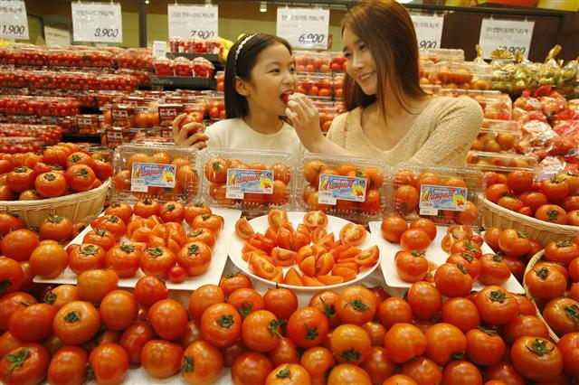   14일 오전 서울 중구 롯데마트 서울역점에서 도우미들이 ‘캄파리 토마토’를 소개하고 있다. 캄파리 토마토는 중간 크기의 토마토로 시큼한 맛이 강해 봄철 나들이 간식으로 적당하다. 700g 1팩에 6900원이다.  연합뉴스
