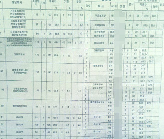 해양사업본부 대의원에 출마한 47명의 소속과 당락여부 득표 현황과 함께 ‘분석’란에 영문으로 아르(R), 와이(Y), 지(G) 등 세가지로 출마자의 성향이 적혀 있다.