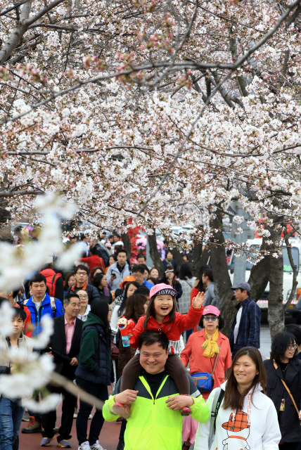 서울 여의도 봄꽃 축제를 하루 앞둔 3일 오후 벚꽃이 활짝 피기 시작한 윤중로를 찾은 시민들이 즐거운 표정으로 꽃길을 산책하고 있다. ‘영등포 여의도 봄꽃 축제’는 국회 뒷편 행사장에서 4일부터 10일까지 열린다.  김태형 기자 xogud555@hani.co.kr