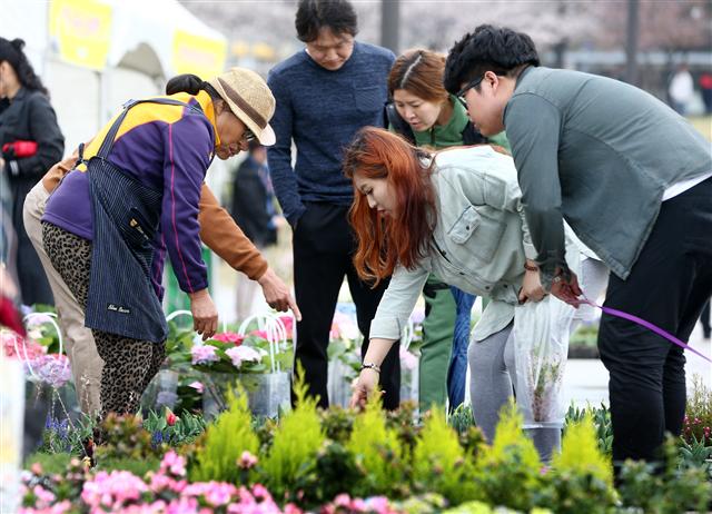 한강플라워마켓이 열린 3일 오후 서울 영등포구 여의도한강공원 이벤트광장에서 시민들이 진열된 꽃을 바라보고 있다. 이 행사는 8일까지 열린다. 연합뉴스
