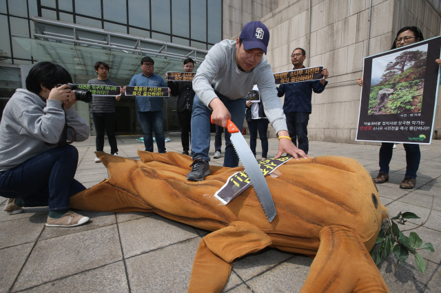 녹색연합·문화연대·한국환경회의 회원들이 12일 오전 서울 서초구 예술의전당 한가람미술관 앞에서 사진작가 장국현의 ‘천하걸작 한국영송’전시회를 반대하는 기자회견을 마친 뒤 소나무를 자르는 행위극을 하고 있다. 장 작가는 촬영에 방해가 된다는 이유로 2011년부터 수령 200년이 넘는 금강송 수십그루를 무단 벌목해 500만원의 벌금형을 받았다. 신소영 기자 <A href="mailto:viator@hani.co.kr">viator@hani.co.kr</A>
  