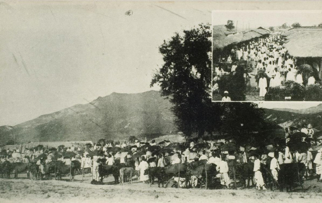 1920년대 청주 우시장. 청주 육거리시장의 모태가 된 청주 우시장은 경기 수원에 이어 전국 2위권 시장으로 청주의 상징이었다. 사진 청주시문화산업진흥재단 제공