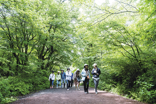 산책이나 등산을 하기에 좋은 계절이 되면서 걷기를 즐기는 사람들이 많다. 걷기는 관절과 근육의 단련을 위해 좋은 운동이지만, 잘못된 자세로 걸으면 오히려 척추, 무릎, 발목 등 여러 관절에 손상을 일으킬 수 있다.  고려대의대 안암병원 제공