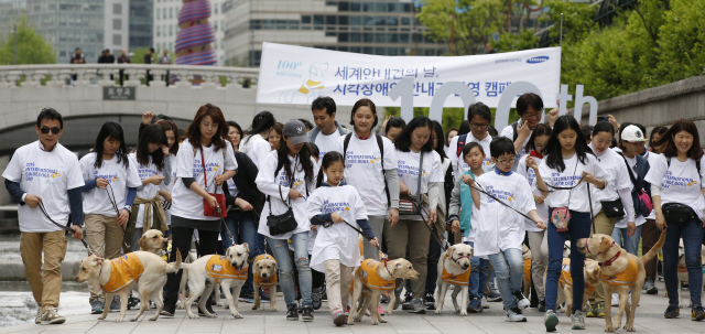 ‘세계 안내견의 날’인 27일 오전 서울 청계광장에서 열린 ‘안내견과의 만남’ 행사에서 삼성화재 안내견학교 훈련견들이 지원봉사자들과 함께 청계천변을 걷고 있다. 자원봉사자들은 예비 장애인견을 훈련소로 보내기에 앞서 1년 동안 일반 가정집에서 키우는 일을 한다.  김봉규 선임기자 bong9@hani.co.kr