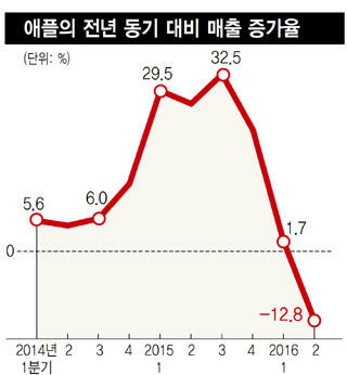 애플의 전년 동기 대비 매출 증가율