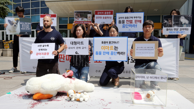 동물보호단체 회원들이 9일 오후 서울 성동구 이마트 본사 앞에서 이마트 몰리스펫샵의 동물 판매 중단을 요구하는 기자회견을 하고 있다.  김경호 선임기자 jijae@hani.co.kr