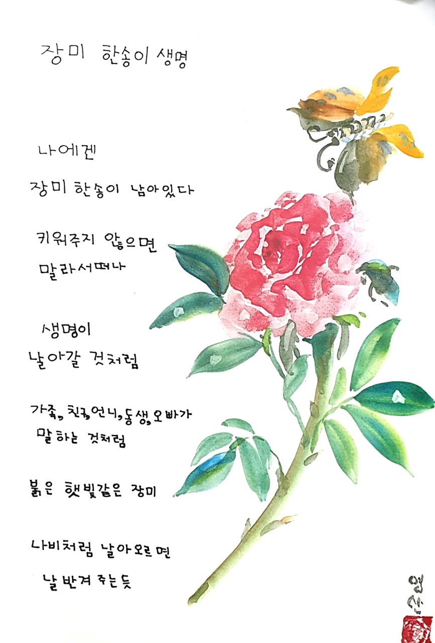 당진시의 신평지역아동센터는 ‘장미처럼 시 백일장’을 열어 지난 10일 수상작을 선정했다. 장원으로 뽑힌 호아무개(9)양의 시 ‘장미 한송이 생명’.