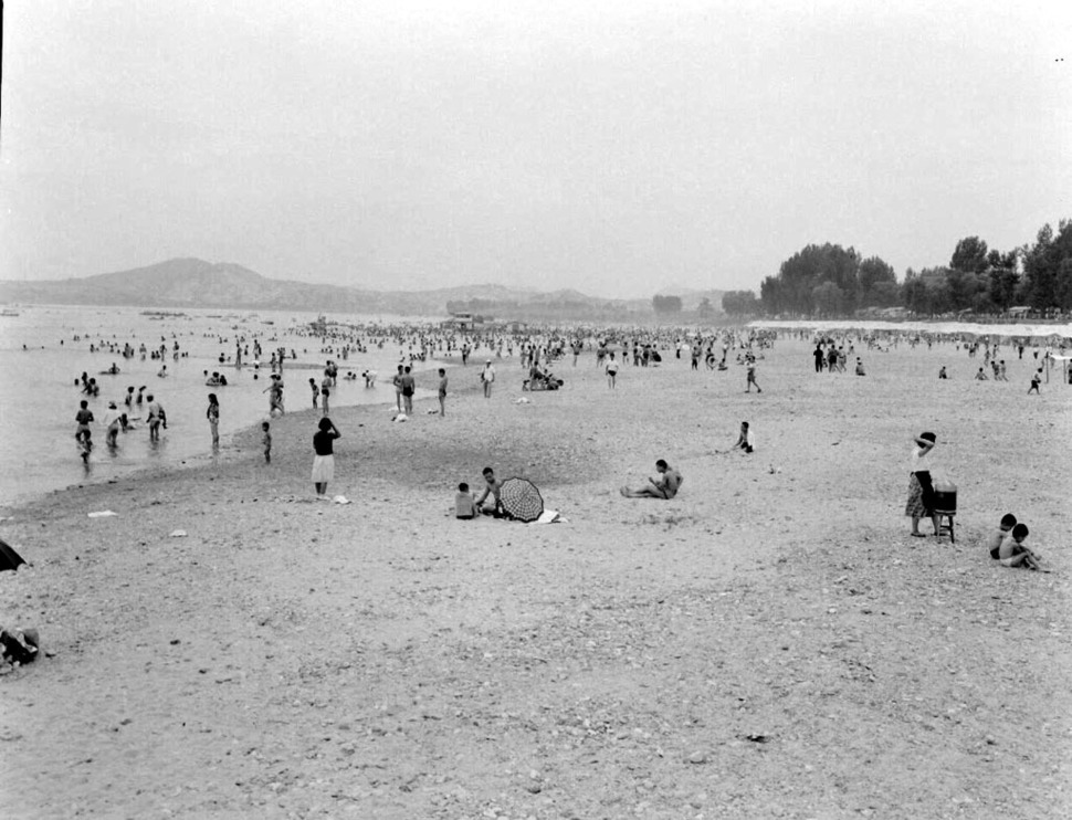 1962년 서울 뚝섬유원지의 여름 풍경.