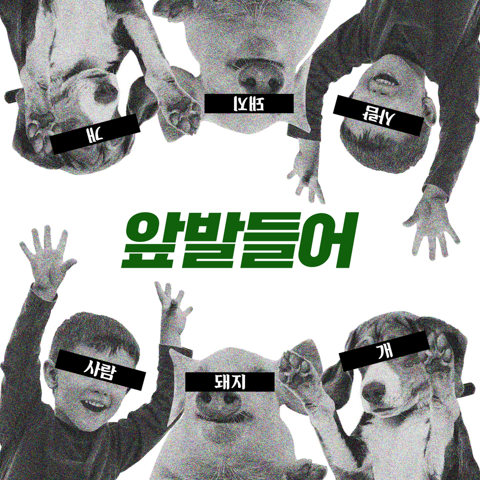 디템포의 ‘앞발들어’ 이미지. 디템포 제공