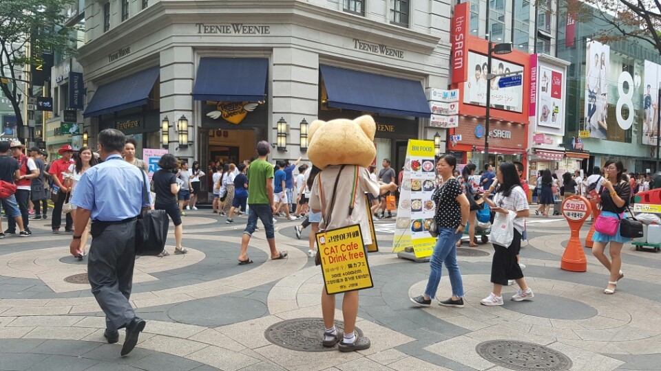 낮기온이 33도까지 오른 지난 1일 서울 중구 명동에서 고양이탈을 쓰고 동물카페를 홍보하는 아르바이트생들.