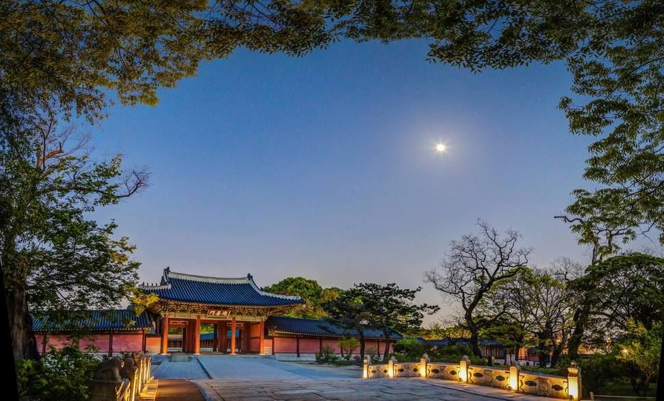창덕궁 영선문 근처의 밤풍경.