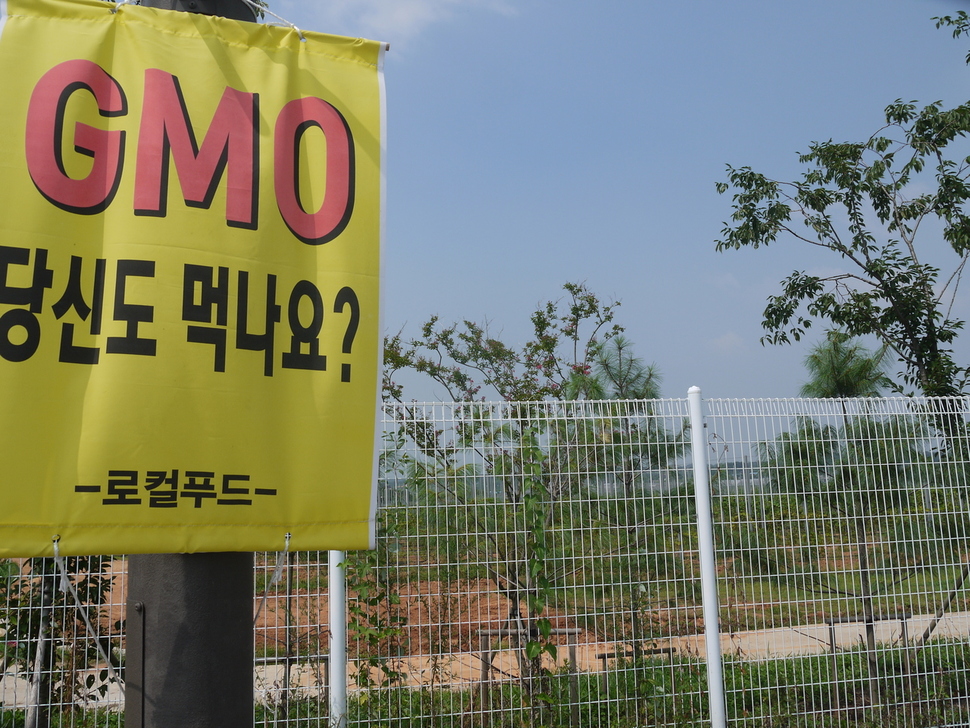 전북혁신도시 주변 정농마을 들머리에 지엠오 반대 펼침막이 걸려 있다. 박임근 기자