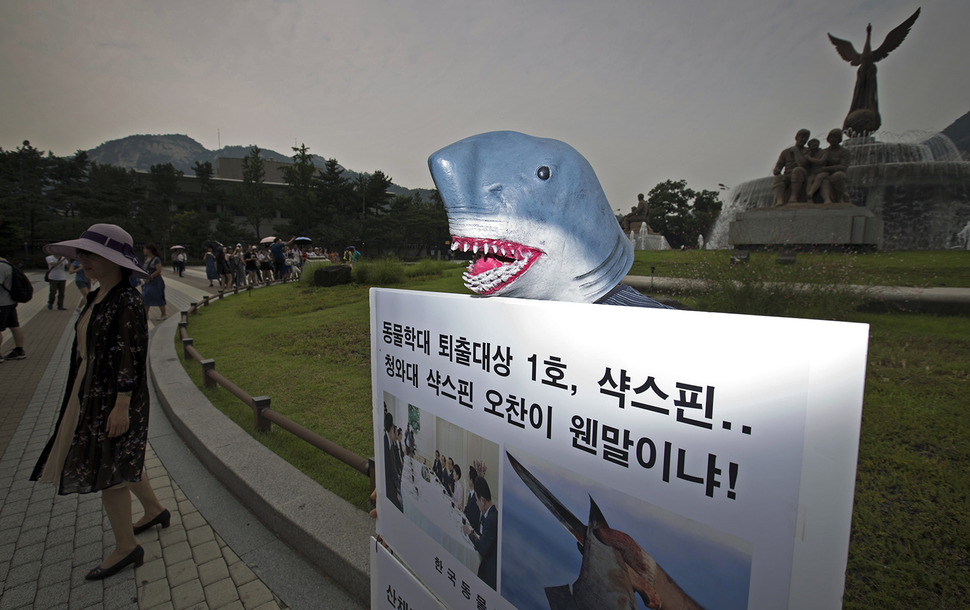 이원복 한국동물보호연합 대표가 18일 오후 청와대 앞 분수대에서 청와대의 ‘샥스핀‘ 오찬을 규탄하며 1인 시위를 벌이고 있다. 