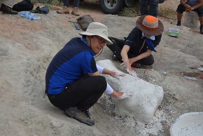 공룡 뼈를 석고로 덮어 운반 중에 부서지지 않도록 단단히 고정하는 작업에 동참하고 있는 기자(앞쪽). 김기상씨 제공