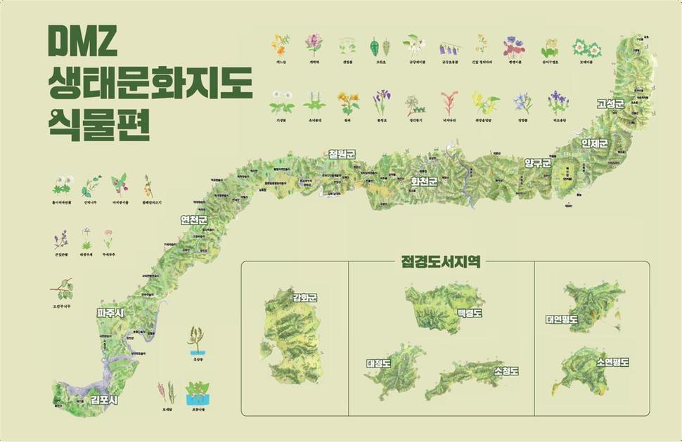 디엠제트생태문화지도 ‘식물편’