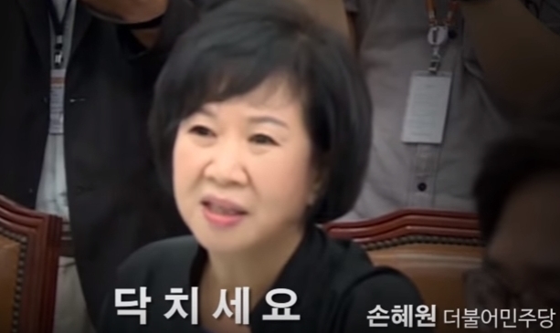 “닥치세요!” ‘꿩 잡는 매’ 손혜원의 탄생  