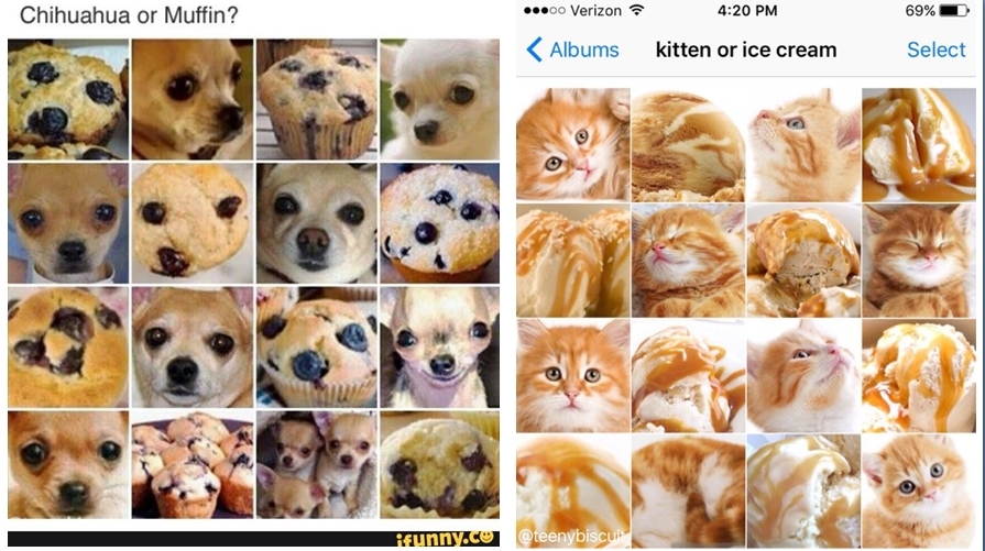 머핀과 치와와, 고양이와 아이스크림 사진을 놓고 인간은 한눈에 알아차리지만, 인공지능은 헷갈려 한다. 사진은 페이스북이 만든 인공지능이 구별에 실패한 머핀과 치와와, 고양이와 아이스크림이다.   페이스북 제공