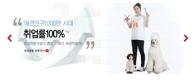 허위·과장 의심광고 사례. 서울시교육청 제공