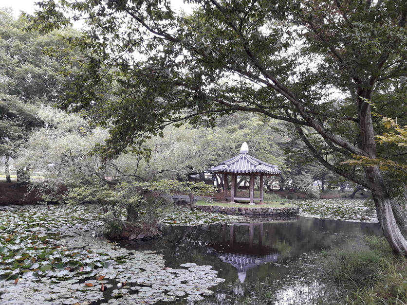 조선 태조 때 조성한 것으로 알려진 경남 고성군 마암면 고성 장산숲은 국내에서는 보기 드문 인공숲이다. 최상원 기자