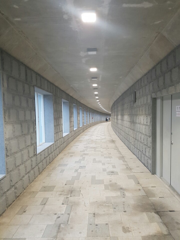 서울 종로구 창덕궁 돈화문~원남동 사거리까지 300m 길이의 지하보도. 보도를 걸은 여성들은 범죄로부터 안전하지 않을 것같다는 대답을 했다. 또 길이 굽었고 내리막길인데, 자전거도로가 따로 없어 위험하다고도 했다.