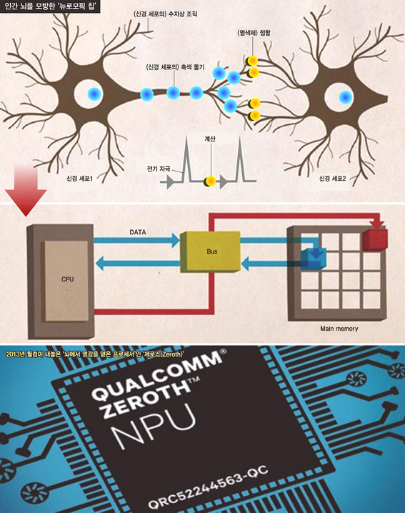 인간 뇌가 슈퍼컴퓨터보다 더 뛰어난 까닭은 신경세포들끼리 바로 연결하는 단순한 구조 덕분이다. 이 때문에 아주 적은 에너지로 1000억개가 넘는 뉴런(신경세포)을 가동할 수 있다(제일 위 그림). 반면에 컴퓨터는 중앙정보처리프로세서(CPU)와 메모리시스템(하드웨어)의 데이터 이동을 버스(BUS)가 일일이 통제하는 방식이다(가운데 그림의 붉은색 화살표). 뉴로모픽 칩은 시피유와 하드웨어를 인간 뇌의 신경세포 연결 구조처럼 병렬적이고 네트워크 방식으로 연결한다(가운데 그림의 파란색 화살표). 뉴로모픽 칩은 인간 뇌처럼 효율적이면서도 자기 학습 기제를 갖추고 있다. 맨 아래 사진은 퀄컴에서 2013년 세계 최초로 개발한 뉴로모픽 칩 ‘제로스’(Zeroth)의 모습이다. 정재승 교수 제공