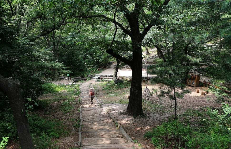 서울 인왕산 자락에 위치한 백사실 계곡 인근에서 한 시민이 산책하고 있다. 이병학 선임기자