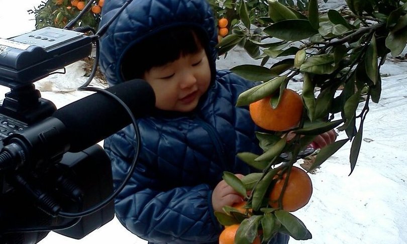 내 인생의 과일, 귤