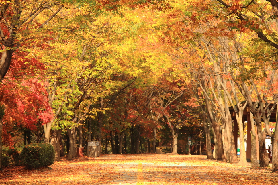 서울대공원 제공