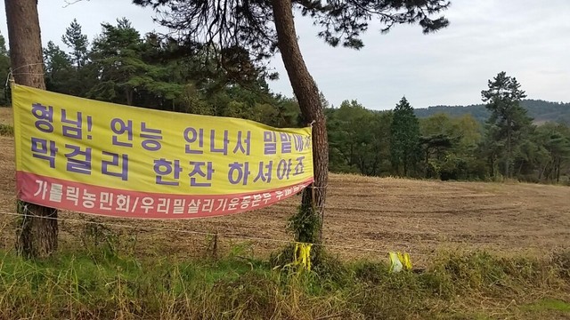 지난 29일 전남 보성군 웅치면 부춘마을 고 백남기씨 밀밭 소나무에 걸린 펼침막에 가을 햇살이 쏟아졌다.