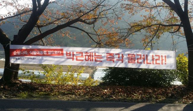 하동참여자치연대가 8일 오후 경남 하동군 거리 곳곳에 내건 박근혜 대통령 퇴진 촉구 펼침막. 하동군이 펼침막 게시를 허락하지 않음에 따라 하동참여자치연대는 무단게시했다. 하동참여자치연대 제공