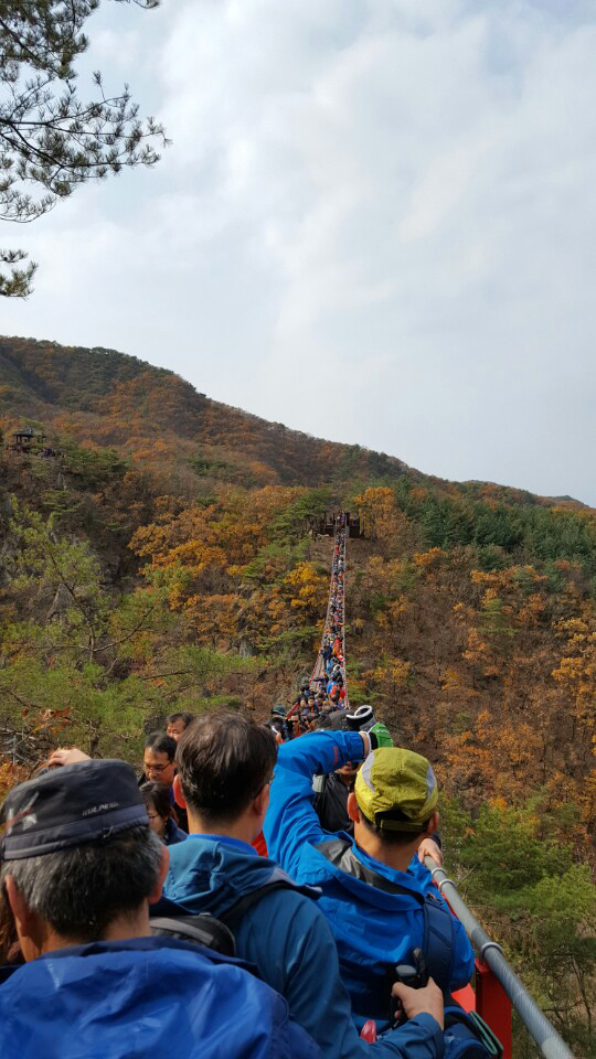 전국에서 모여든 관광객들이 지난 6일 경기도 파주시 감악산 출렁다리 위를 걷고 있다. 박경만 기자