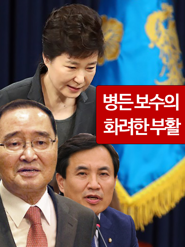 머리대통령 이미지