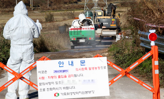 전국 닭·오리 살처분 1천만마리…최단·최대 피해 우려 