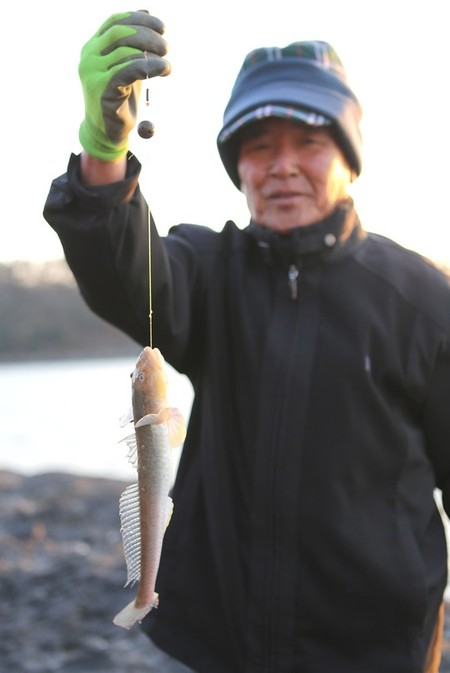 장도 대촌마을 주민 강쌍동씨(73)가 낚시로 잡아낸 ‘운저리’(망둥어).