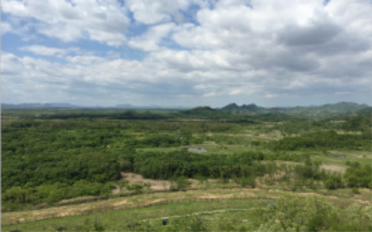강원도 철원 지역 비무장지대(DMZ) 내부 모습.   환경부 제공
