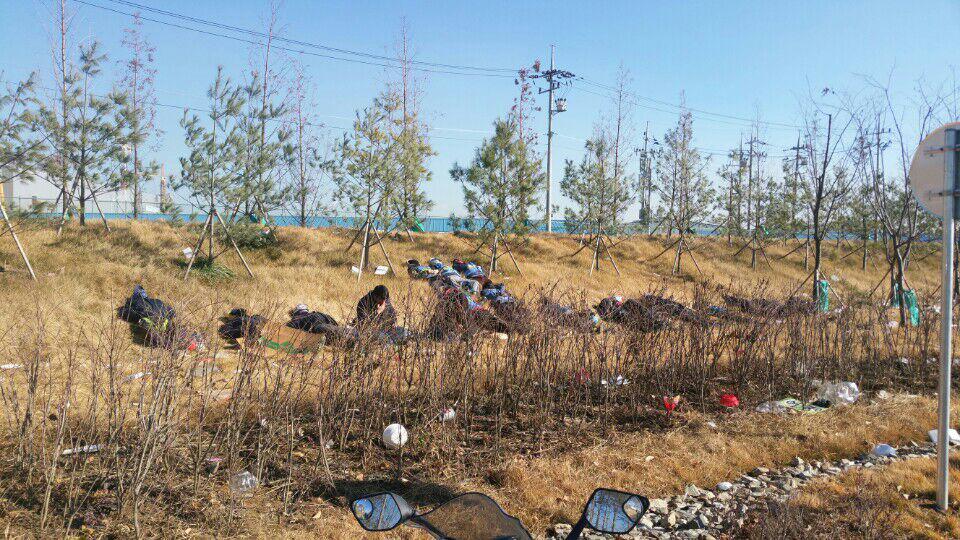 경기 평택시 삼성전자 반도체공장 건설현장에서 작업중인 노동자들이 휴게공간 부족으로 잔디밭 비탈길에 누워 잠을 자고 있다. 플랜트건설노조 제공