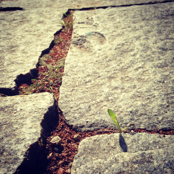 A Crack #046. 201305. Seoul A Crack #046. 201305. Seoul