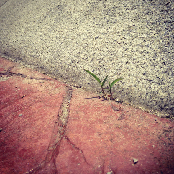 A Crack #285, 201407, Yeoncheon A Crack #285, 201407, Yeoncheon