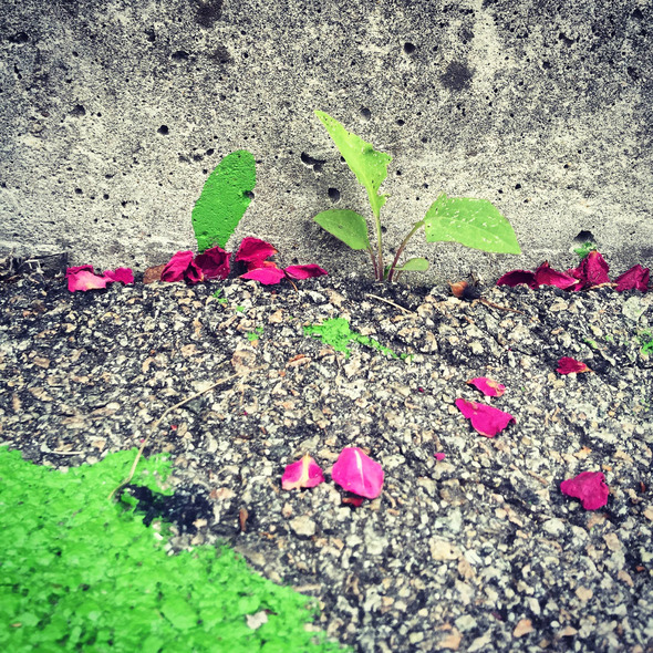 A Life #016, 201605, Osan A Life #016, 201605, Osan