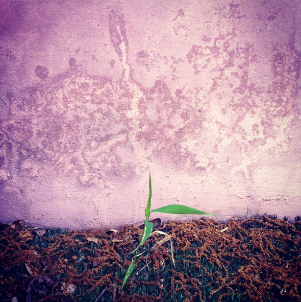 A Wall #147, 201206, Pyeongtaek A Wall #147, 201206, Pyeongtaek